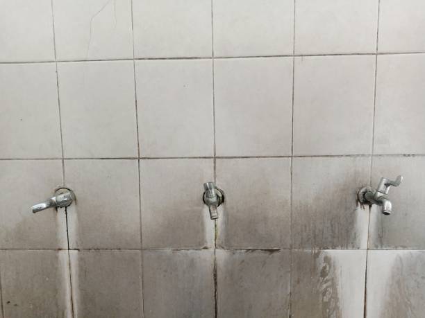 Best Water damage repair service  in Palmdale, CA